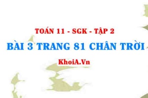 Bài 3 trang 81 Toán 11 Tập 2 Chân trời sáng tạo